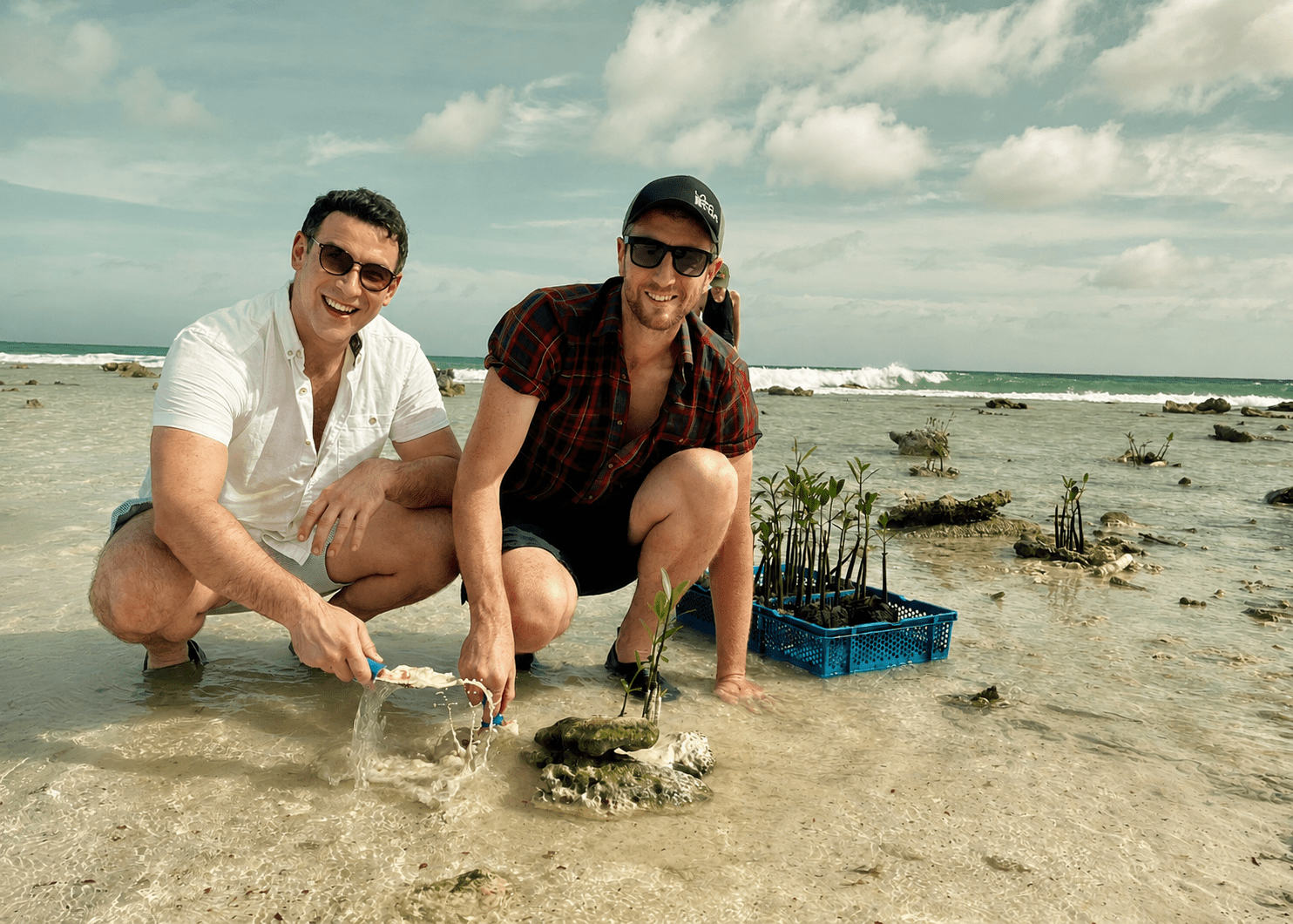 GCS team planting mangroves in the field