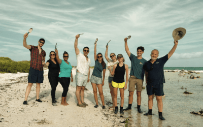 Supporting the Design of a Regional Conservation Program across the Six Dutch Caribbean Islands