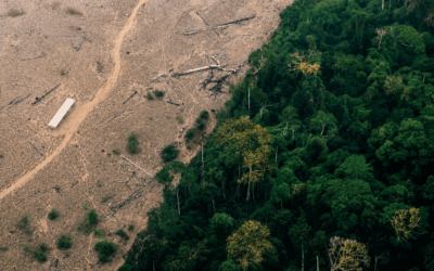 Why the Conservation Sector Is Failing… and What Must be Done to Change That.