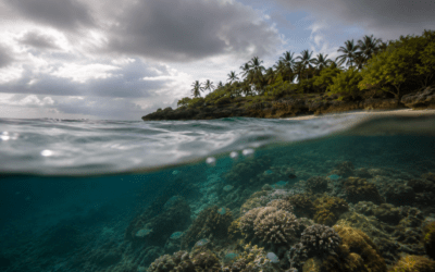Improving Management Effectiveness of Marine Protected Areas across the Western Indian Ocean